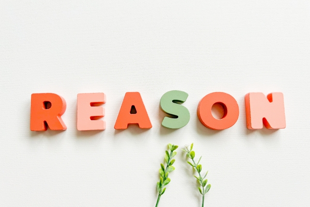 白い背景に赤と緑のロゴで「REASON」と書かれたイラスト